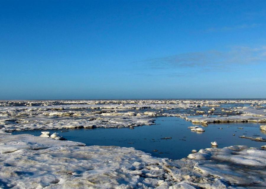 tango auf der winterinsel